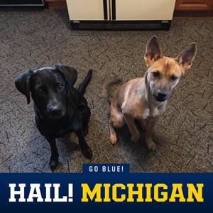 Meet your Posher, Dave